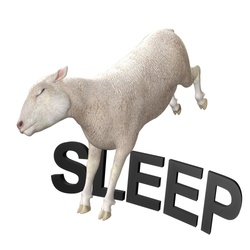 insomniasheep