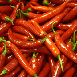 chillies