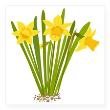 daffodilssquaresticker3x3