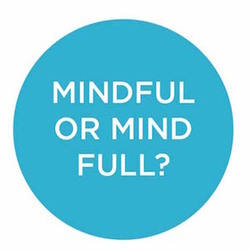 mindful or mind full